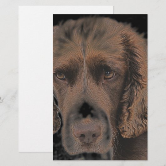 Engelse Springer Dogs Briefpapier (Voorkant / Achterkant)