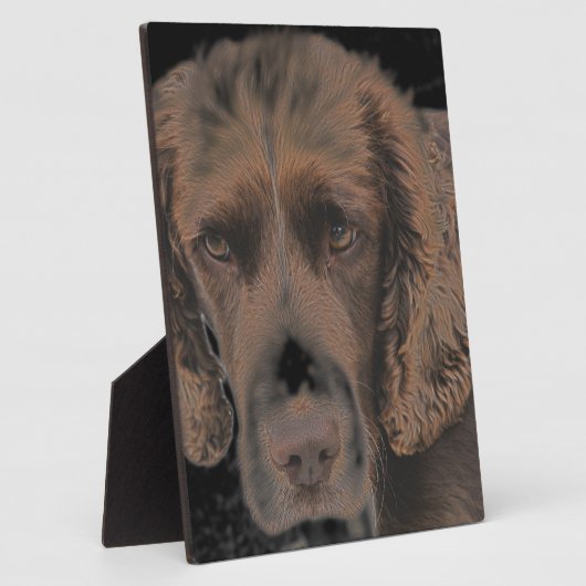 Engelse Springer Dogs Fotoplaat (Zijkant)