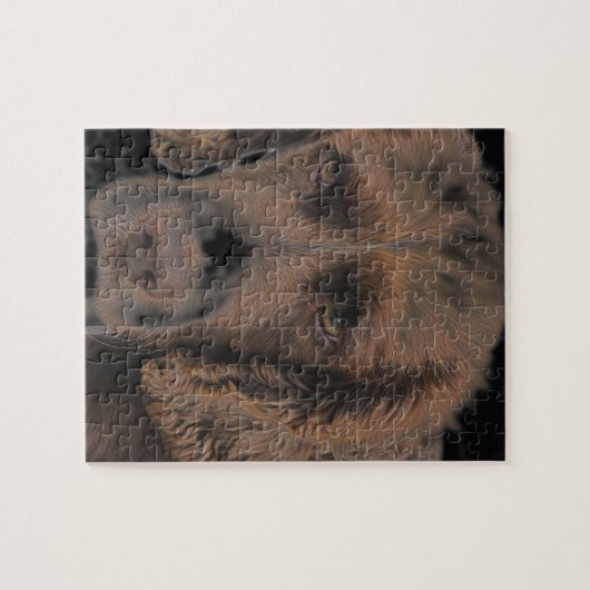 Engelse Springer Dogs Legpuzzel (Horizontaal)