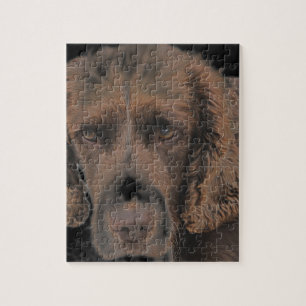 Engelse Springer Dogs Legpuzzel