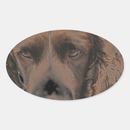 Engelse Springer Dogs Ovale Sticker (Voorkant)