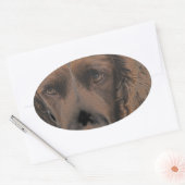 Engelse Springer Dogs Ovale Sticker (Envelop)