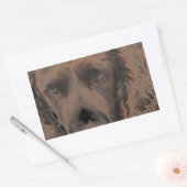 Engelse Springer Dogs Rechthoekige Sticker (Envelop)