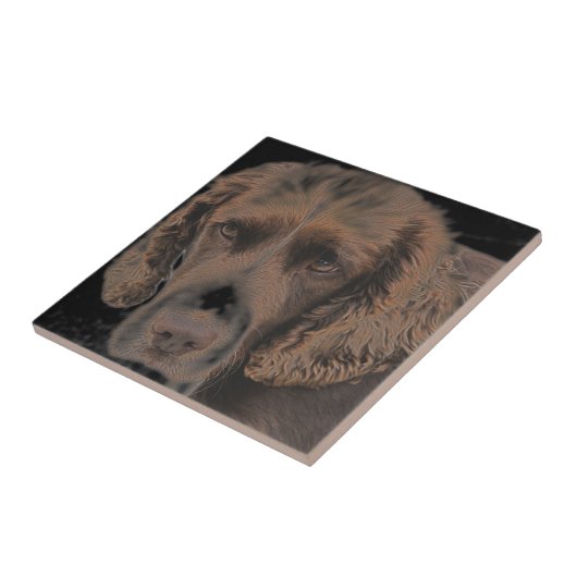 Engelse Springer Dogs Tegeltje (Zijkant)