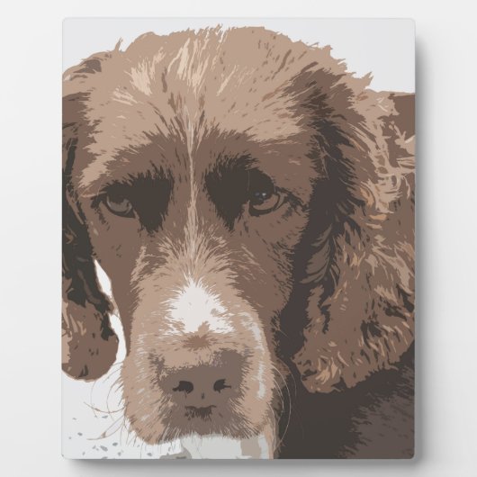 Engelse Springer Fotoplaat (Voorkant)