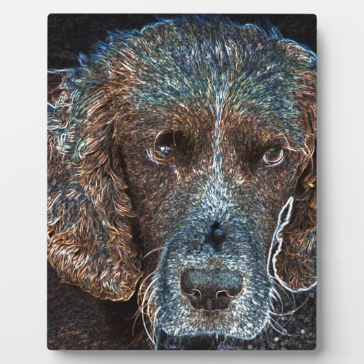 Engelse Springer Fotoplaat (Voorkant)