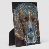 Engelse Springer Fotoplaat (Zijkant)