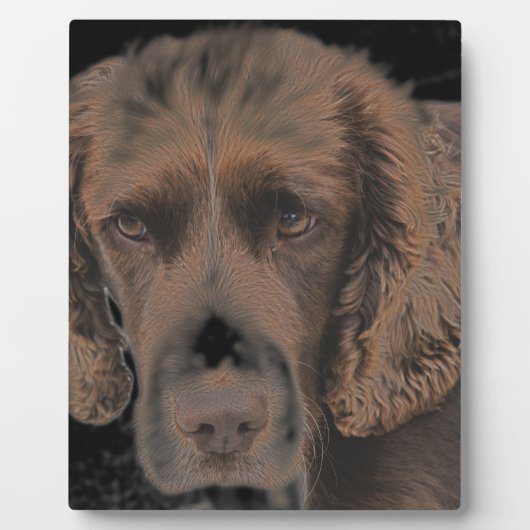 Engelse Springer Honden Fotoplaat (Voorkant)