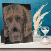 Engelse Springer Honden Fotoplaat (Zijkant)