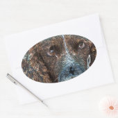 Engelse Springer Ovale Sticker (Envelop)