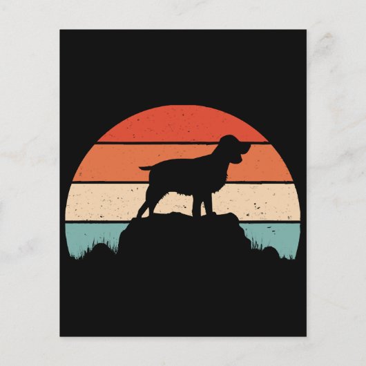 Engelse springer spaniel (Achterkant)