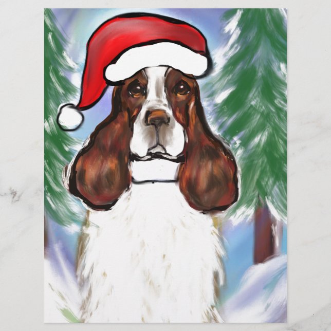 ENGELSE SPRINGER SPANIEL (Voorkant)