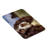 Engelse Springer Spaniel Art Magneet (Rechterzijde)