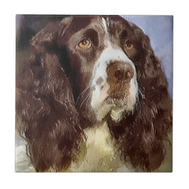 Engelse Springer Spaniel Art Tegeltje