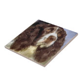 Engelse Springer Spaniel Art Tegeltje (Zijkant)