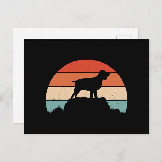 Engelse springer spaniel briefkaart (Voorkant / Achterkant)