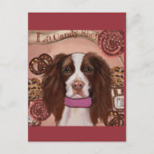 Engelse Springer Spaniel Briefkaart (Voorkant)