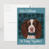Engelse Springer Spaniel    Briefkaart (Voorkant / Achterkant)