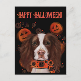 Engelse Springer Spaniel Briefkaart