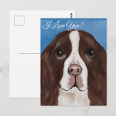 ENGELSE SPRINGER SPANIEL    BRIEFKAART (Voorkant / Achterkant)