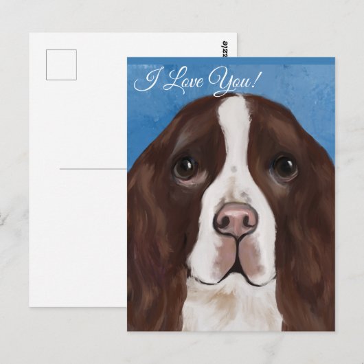 ENGELSE SPRINGER SPANIEL BRIEFKAART (Voorkant / Achterkant)