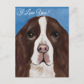 ENGELSE SPRINGER SPANIEL    BRIEFKAART (Voorkant)