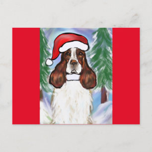 ENGELSE SPRINGER SPANIEL BRIEFKAART