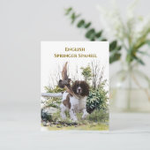 Engelse Springer Spaniel Briefkaart (Staand voorkant)
