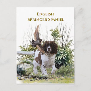 Engelse Springer Spaniel Briefkaart