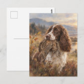 Engelse Springer Spaniel  Briefkaart (Voorkant / Achterkant)