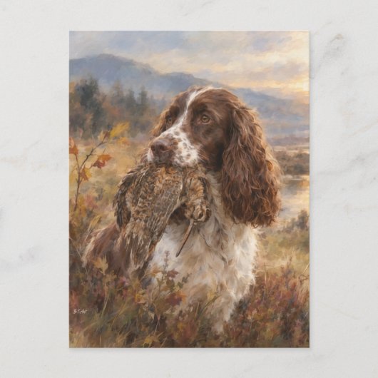 Engelse Springer Spaniel  Briefkaart (Voorkant)