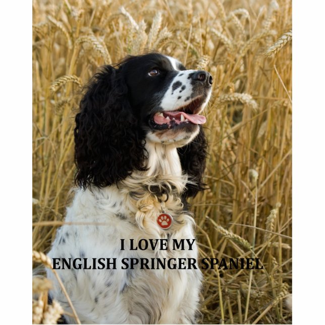 engelse springer spaniel bwlove w pic fotobeeldje sleutelhanger (Voorkant)