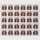 ENGELSE SPRINGER SPANIEL CADEAUPAPIER (Vlak)
