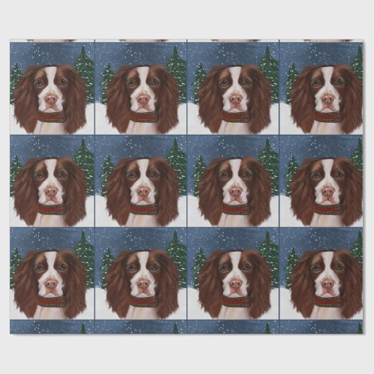 ENGELSE SPRINGER SPANIEL       CADEAUPAPIER (Vlak)