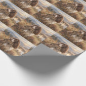 Engelse Springer Spaniel Cadeaupapier (Hoek)