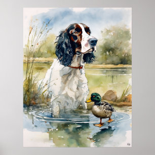 Engelse Springer Spaniel - Dog Art Print