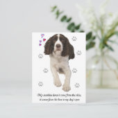 Engelse Springer Spaniel Dog Briefkaart (Staand voorkant)