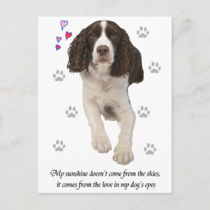 Engelse Springer Spaniel Dog Briefkaart