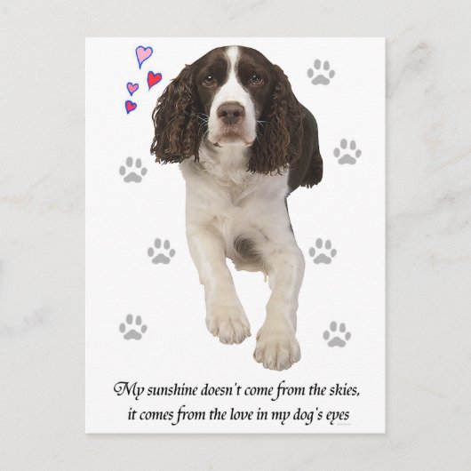 Engelse Springer Spaniel Dog Briefkaart (Voorkant)