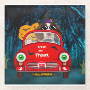 Engelse Springer Spaniel dog Car Scary Halloween Glazen Onderzetter