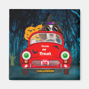Engelse Springer Spaniel dog Car Scary Halloween Magneet