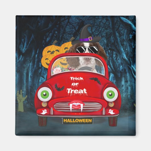 Engelse Springer Spaniel dog Car Scary Halloween Magneet (Voorkant)