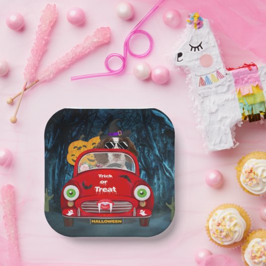 Engelse Springer Spaniel dog Car Scary Halloween Papieren Bordje (Feest)