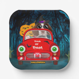 Engelse Springer Spaniel dog Car Scary Halloween Papieren Bordje