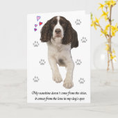 Engelse Springer Spaniel Dog Kaart (Gele Bloem)