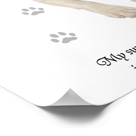 Engelse Springer Spaniel Dog Poster (Hoek)