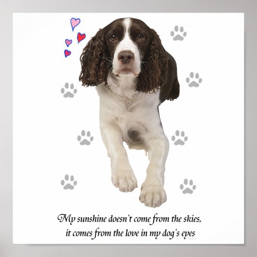 Engelse Springer Spaniel Dog Poster (Voorkant)