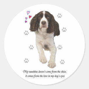 Engelse Springer Spaniel Dog Ronde Sticker