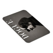 Engelse Springer Spaniel Editorial Dog Portrait Fl Magneet (Rechterzijde)
