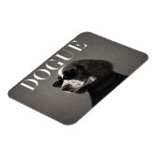 Engelse Springer Spaniel Editorial Dog Portrait Fl Magneet (Linkerzijde)